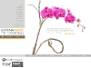 kp_web