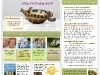 ms_design1