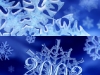 Holiday Card