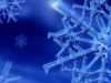 Snow Flake